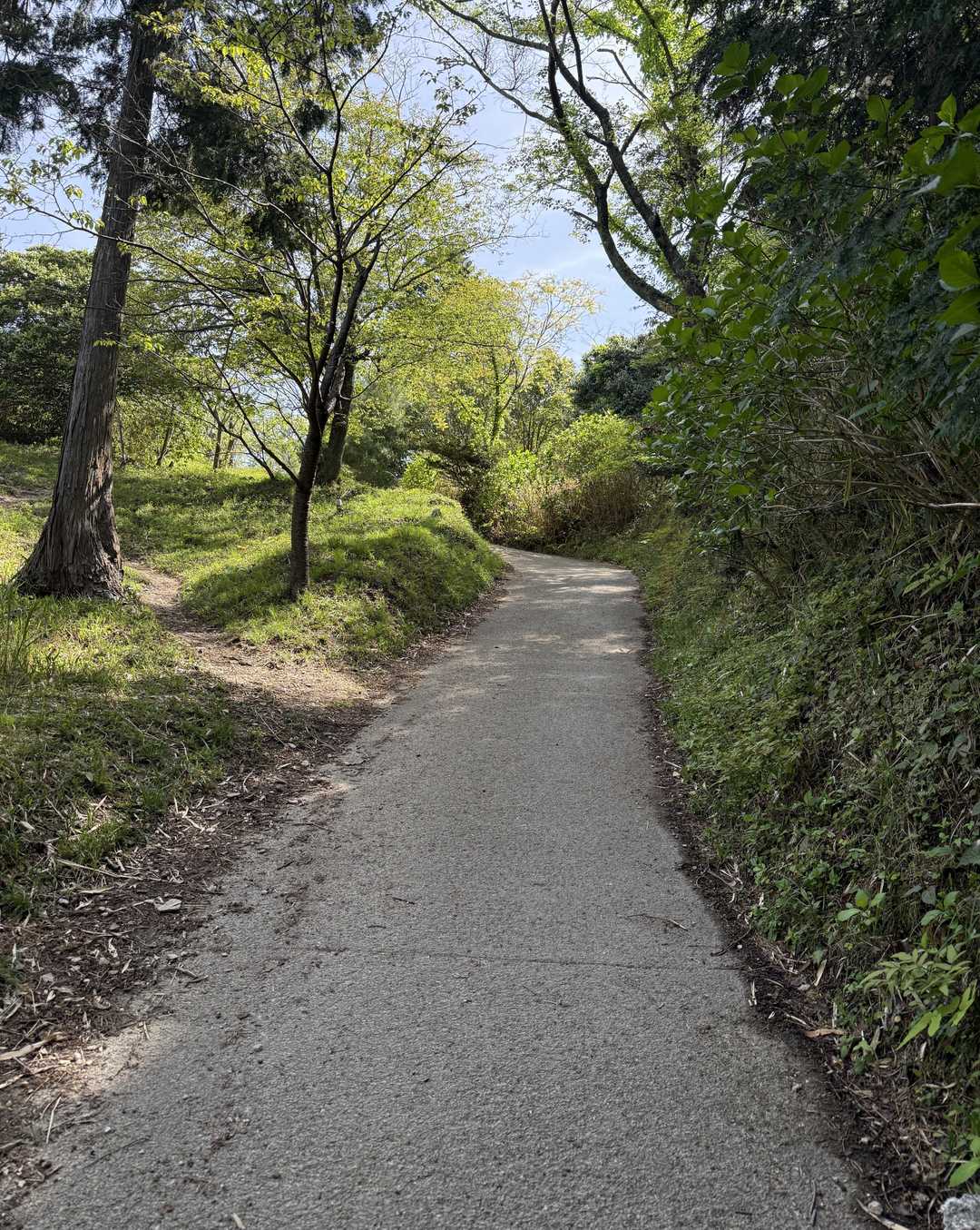 なぜならエグい急な坂道が見えたから