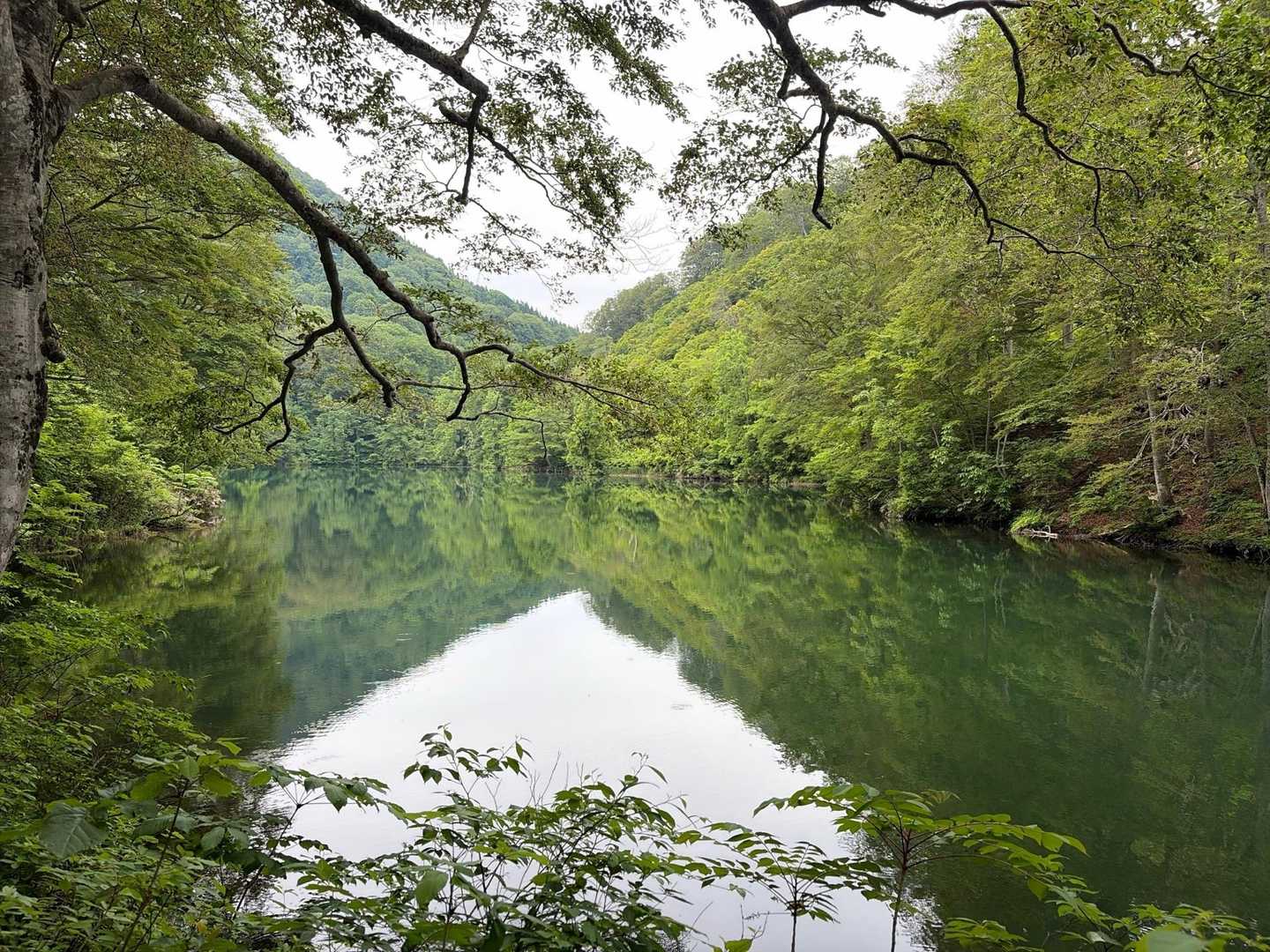 布倉越-番屋山 周回コースの写真