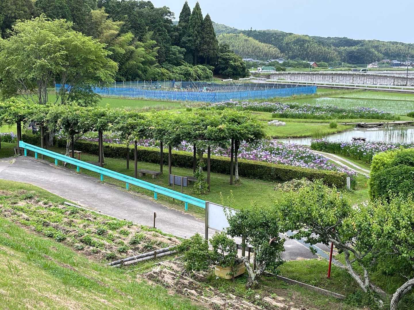 万灯山 周回コースの写真