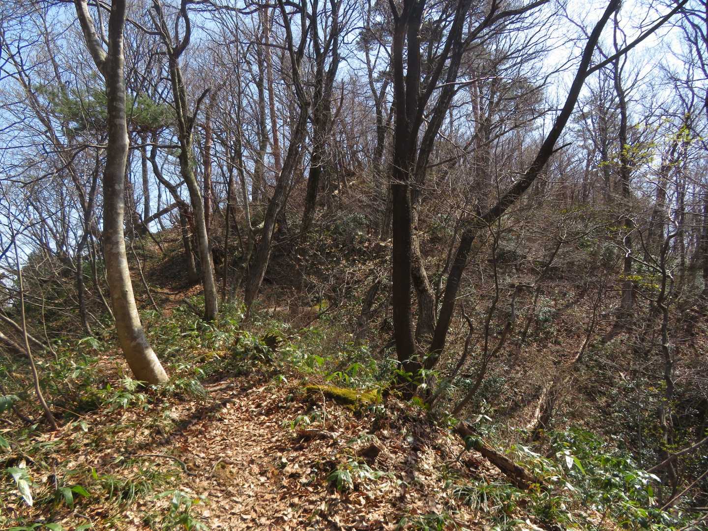 登りあげれば
