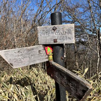 ほどなく到着‼️山頂にはお一人、ヤマップが反応したのでご挨拶☺️