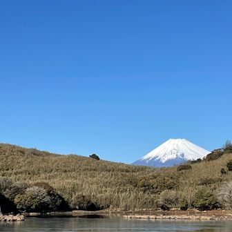 逆さ富士も撮ることができるらしいですよ！
凍っていて今は無理でした😂
