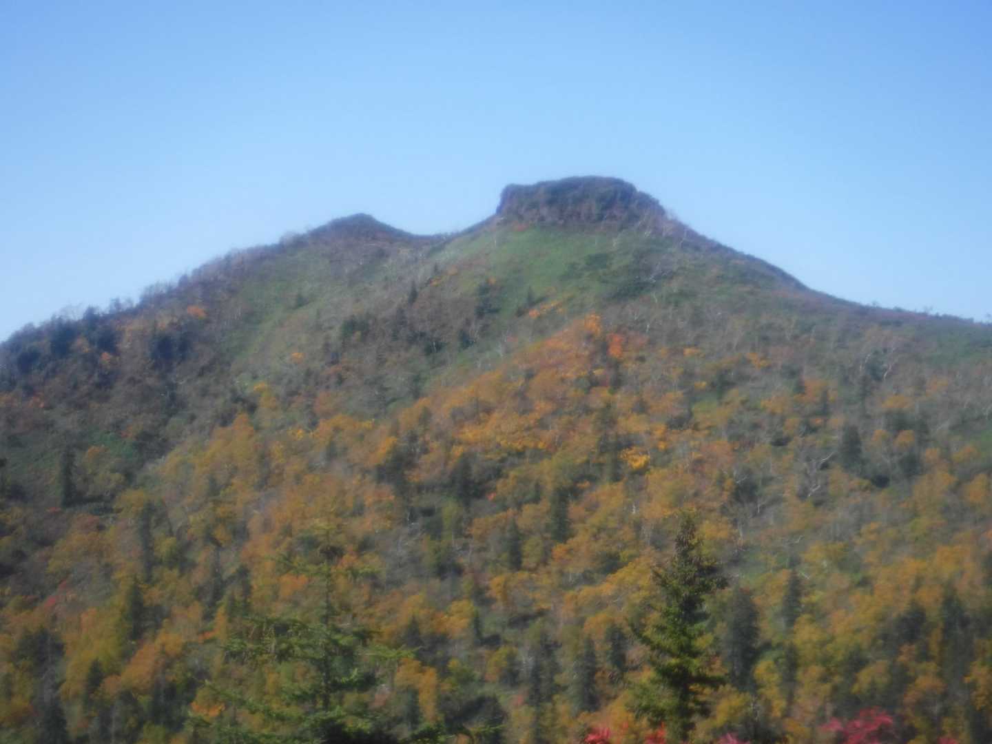 ライオン岩　前ムカ分岐付近から
