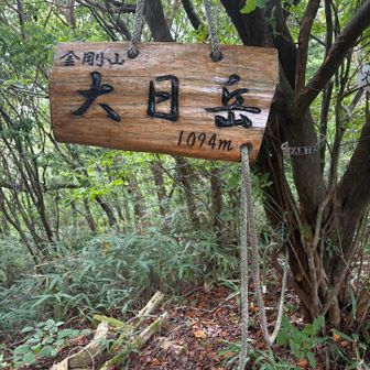 下山途中、大日岳のピークゲット✨
しかし、立派な看板✨