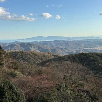 コーヒー飲んで小休憩　遠くに小豆島