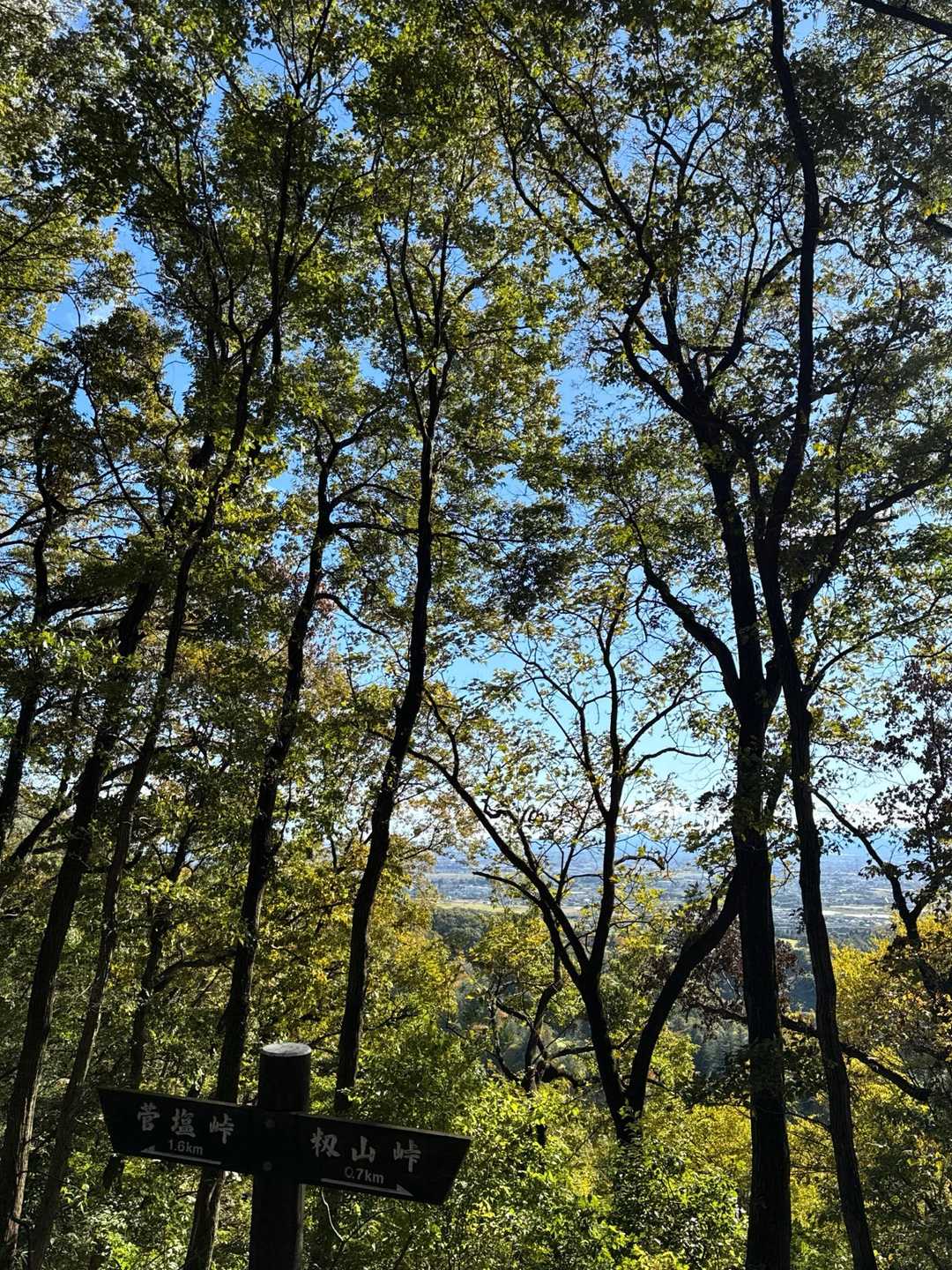 14時前からのスタート👍