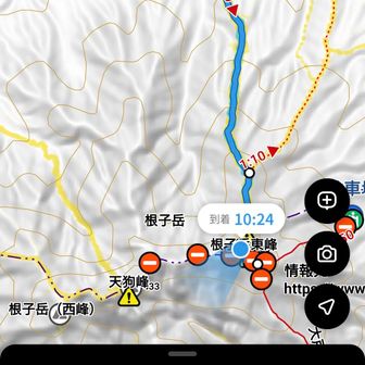 何度も立ち止まり呼吸を整えながら、マアマア頑張ったペースかな