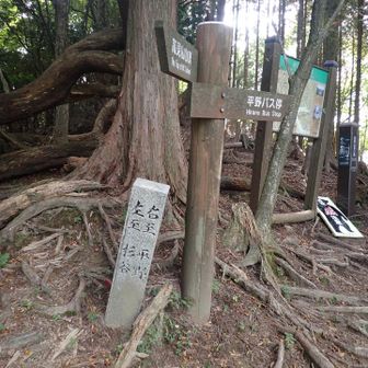 杉谷平野分岐
たかすみ温泉へは右です