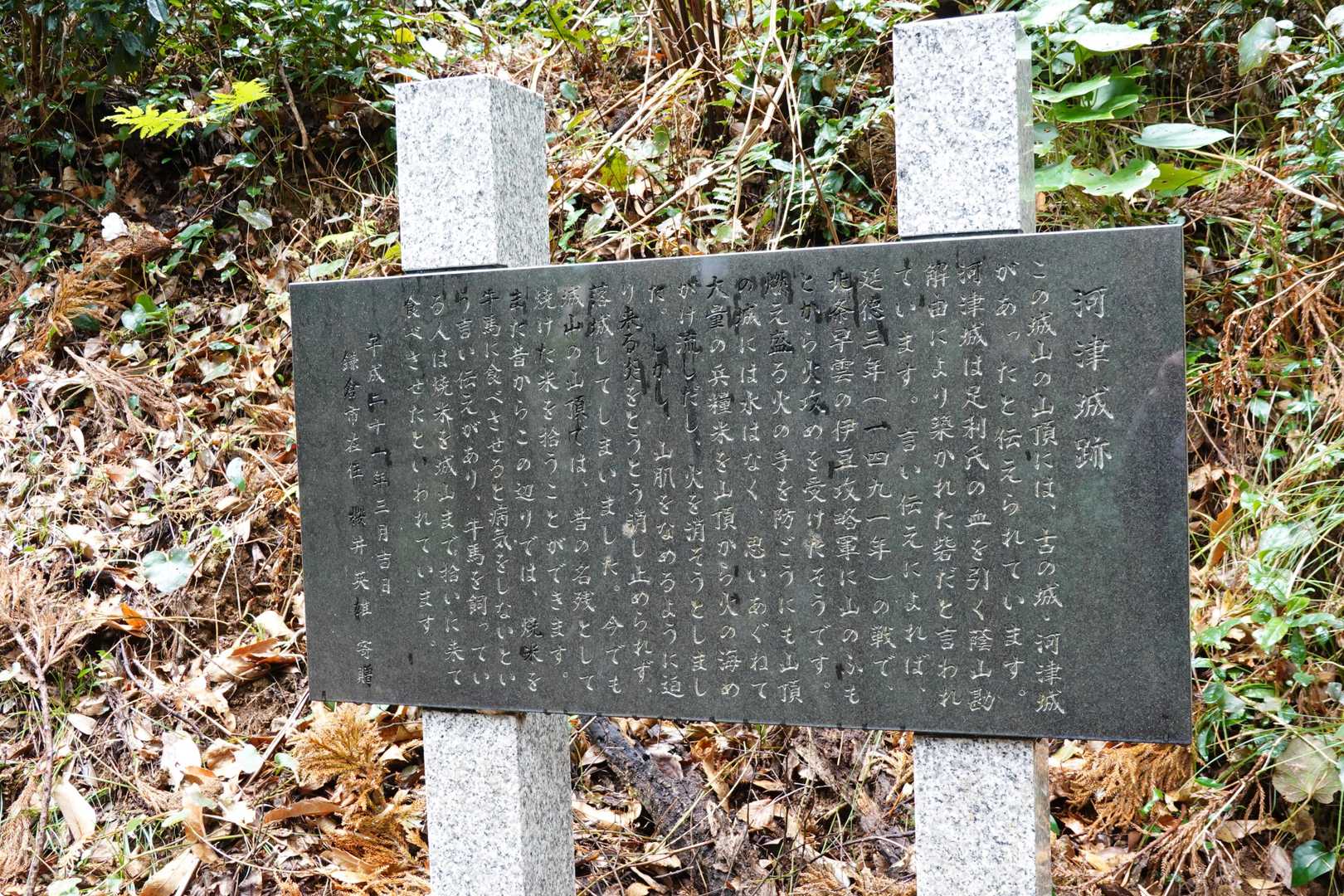 今でもここで500年以上前の戦で焼けた米が拾えるとは驚き👀‼️