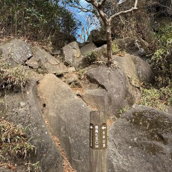 標高750m地点