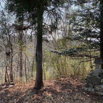 どのピークも眺望無し