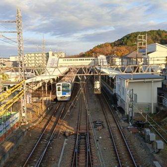 息子は息子で成長していることを改めて実感した