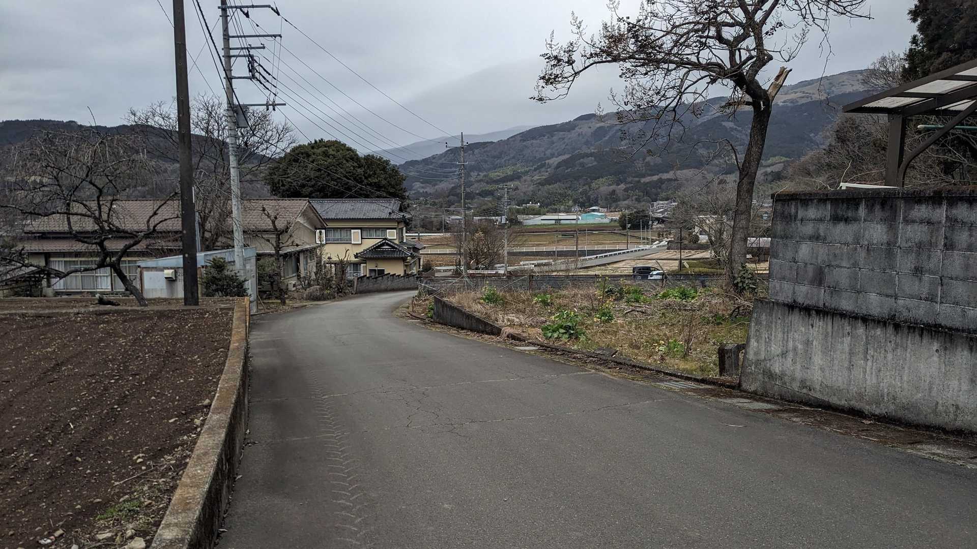 玄岳 往復コースの写真