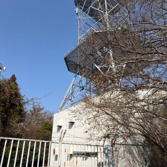 大きな電波塔が2基、その間の林の中が城山の山頂です。