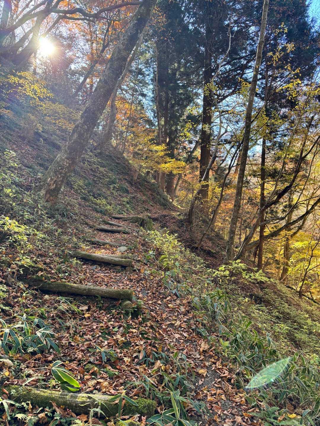 下から歩いてもそんなに距離はなさそう
連チャンやしゆる〜く