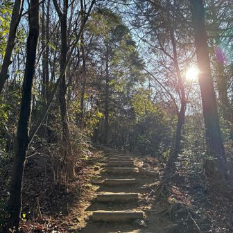 めちゃくちゃ寒いかと思って来たけど
そーでもない😅