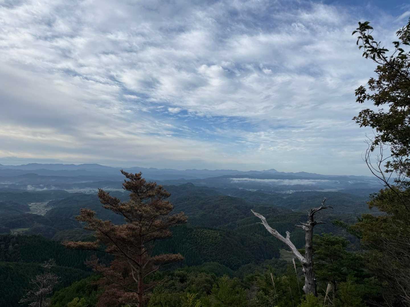 丸倉山入口-丸倉山登山口-馬鞍山-大平山登山口-大平山-東 往復コースの写真