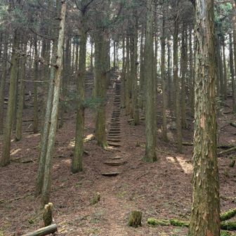 江川岳前の急な階段