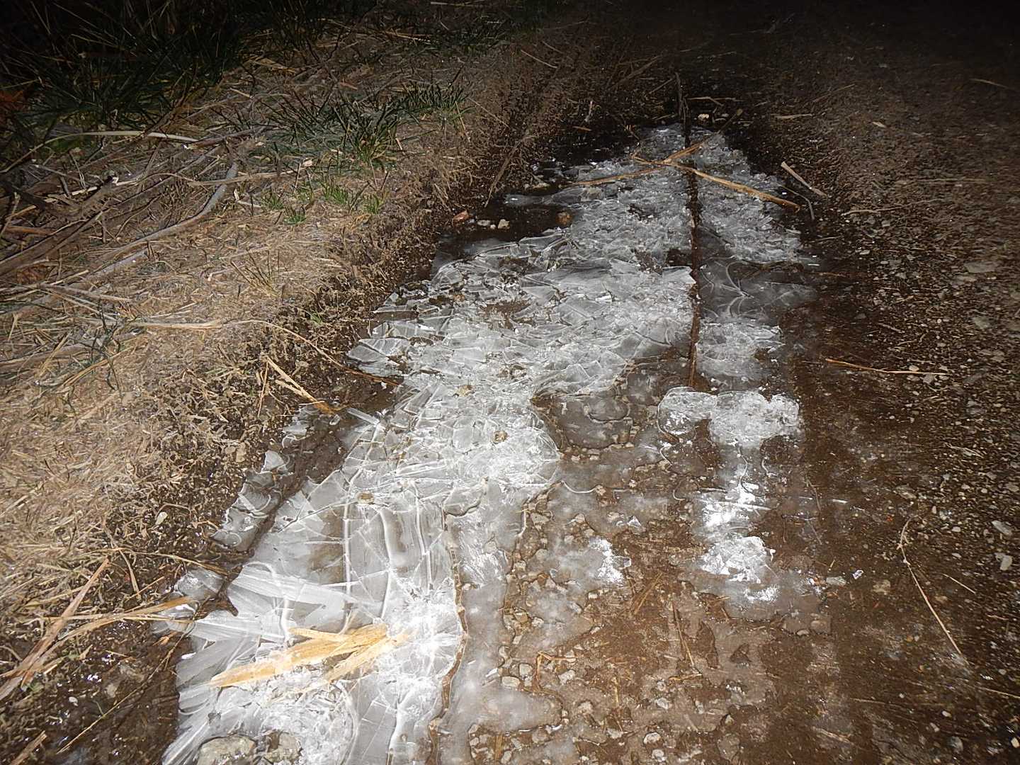 凍っている水溜りもある