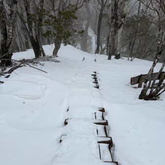 ここは誰も歩いていないからスボリました。
