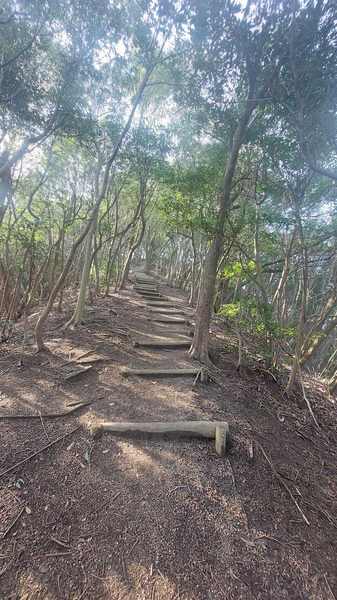 なかなかの急登です👍