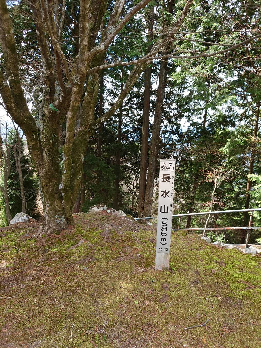 長水山の写真