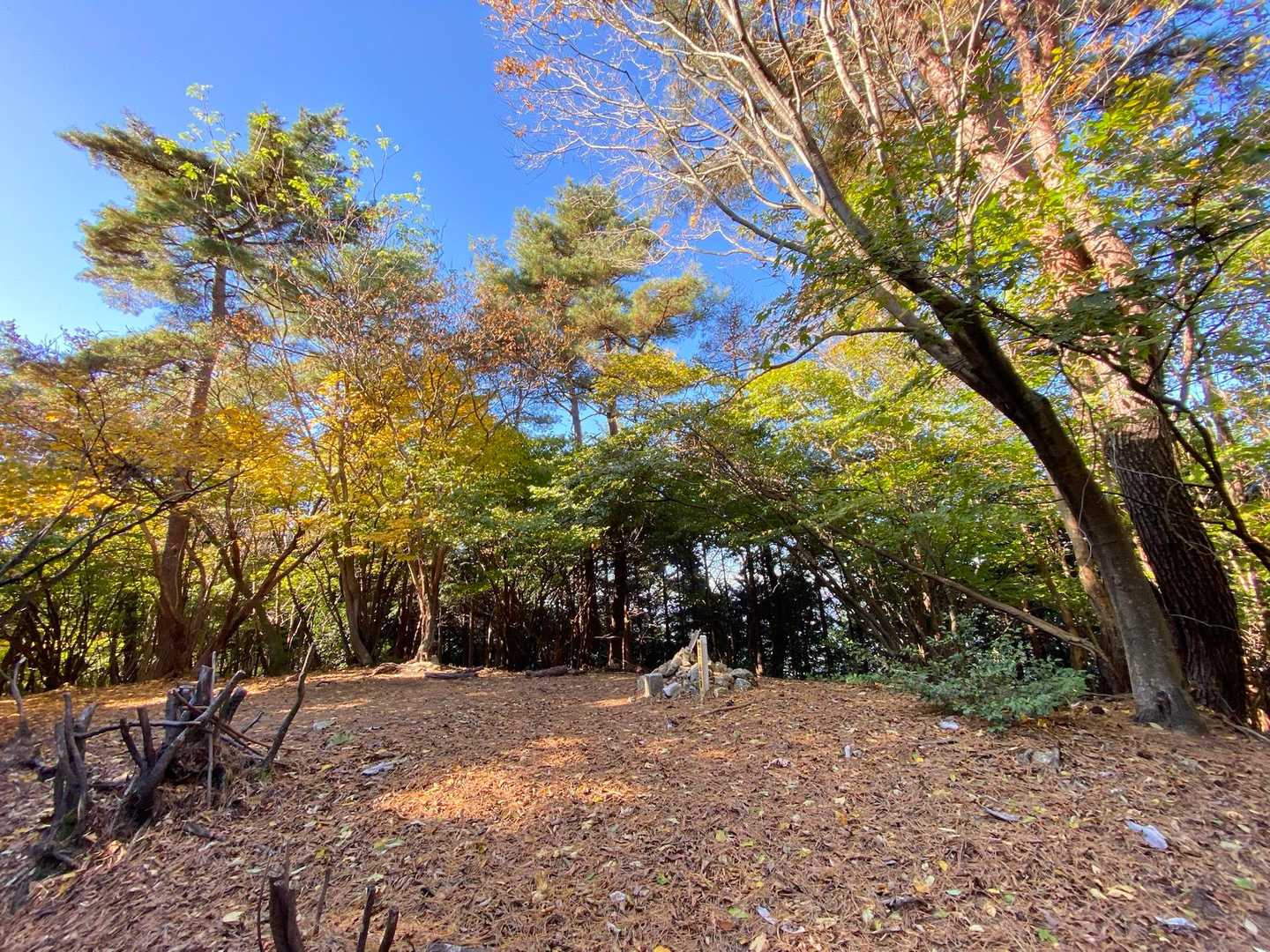 妙法ヶ岳（みょうほうがたけ）⛰️山頂
標高667m
