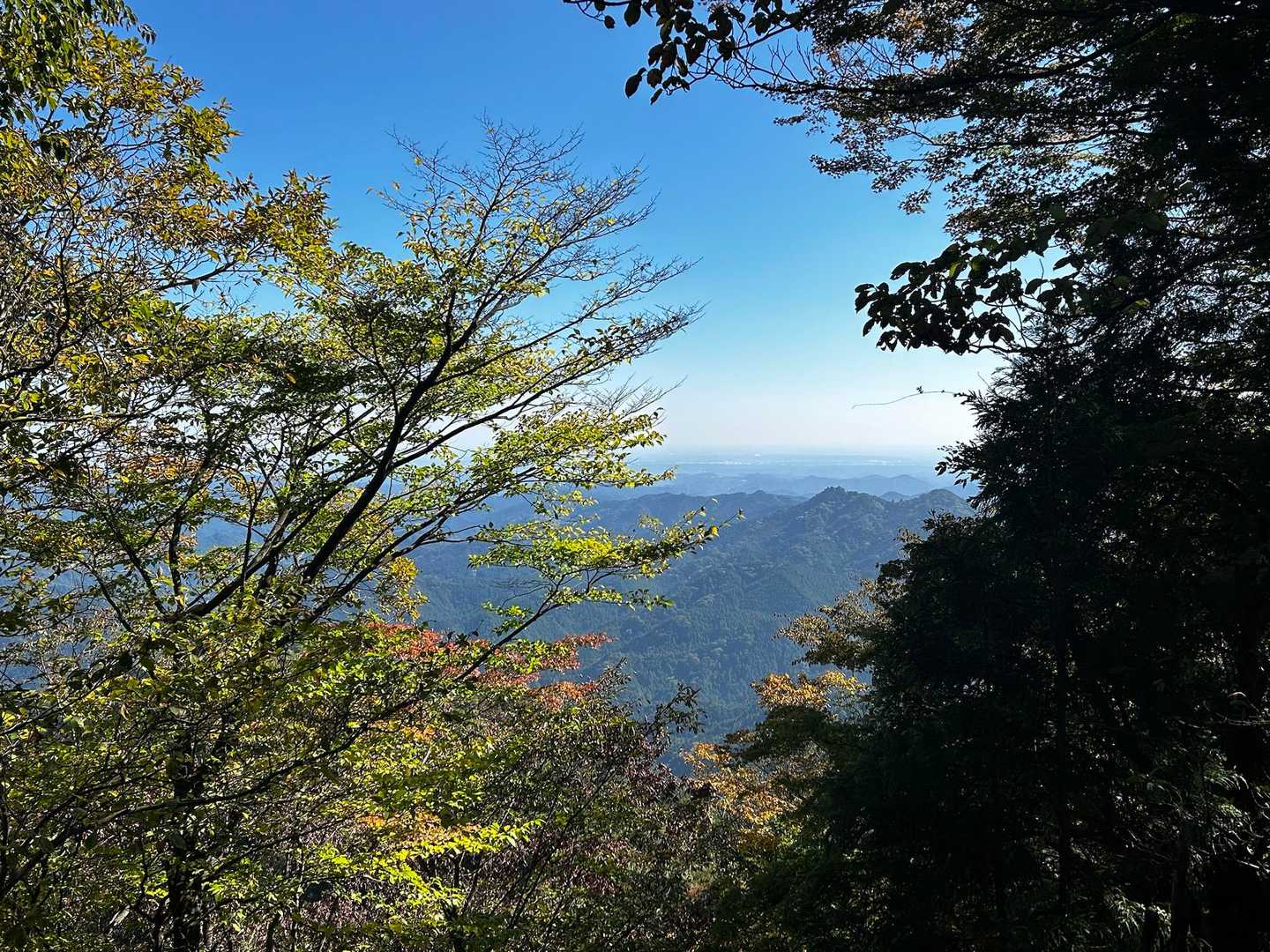 正丸駅発着｜五輪山・伊豆ヶ岳・大蔵山周回コースの写真