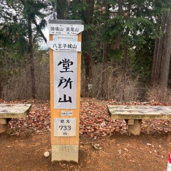 堂所山も巻かなかったよ！