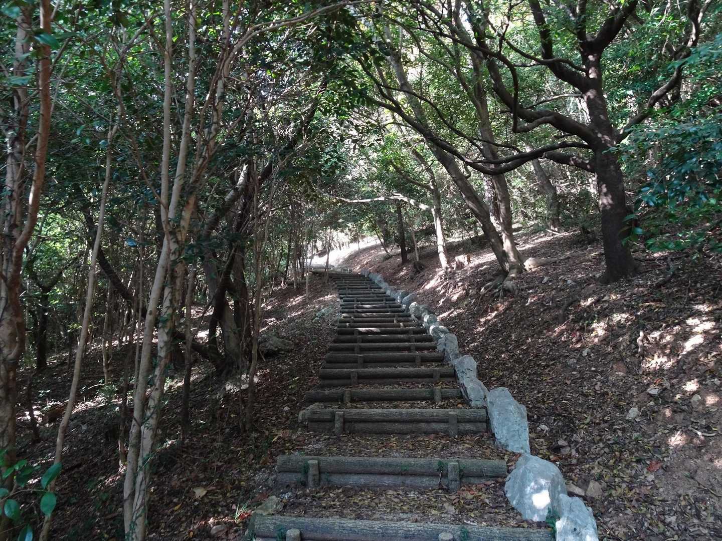 庄十山-藤尾山-中西山-衣笠山 周回コースの写真