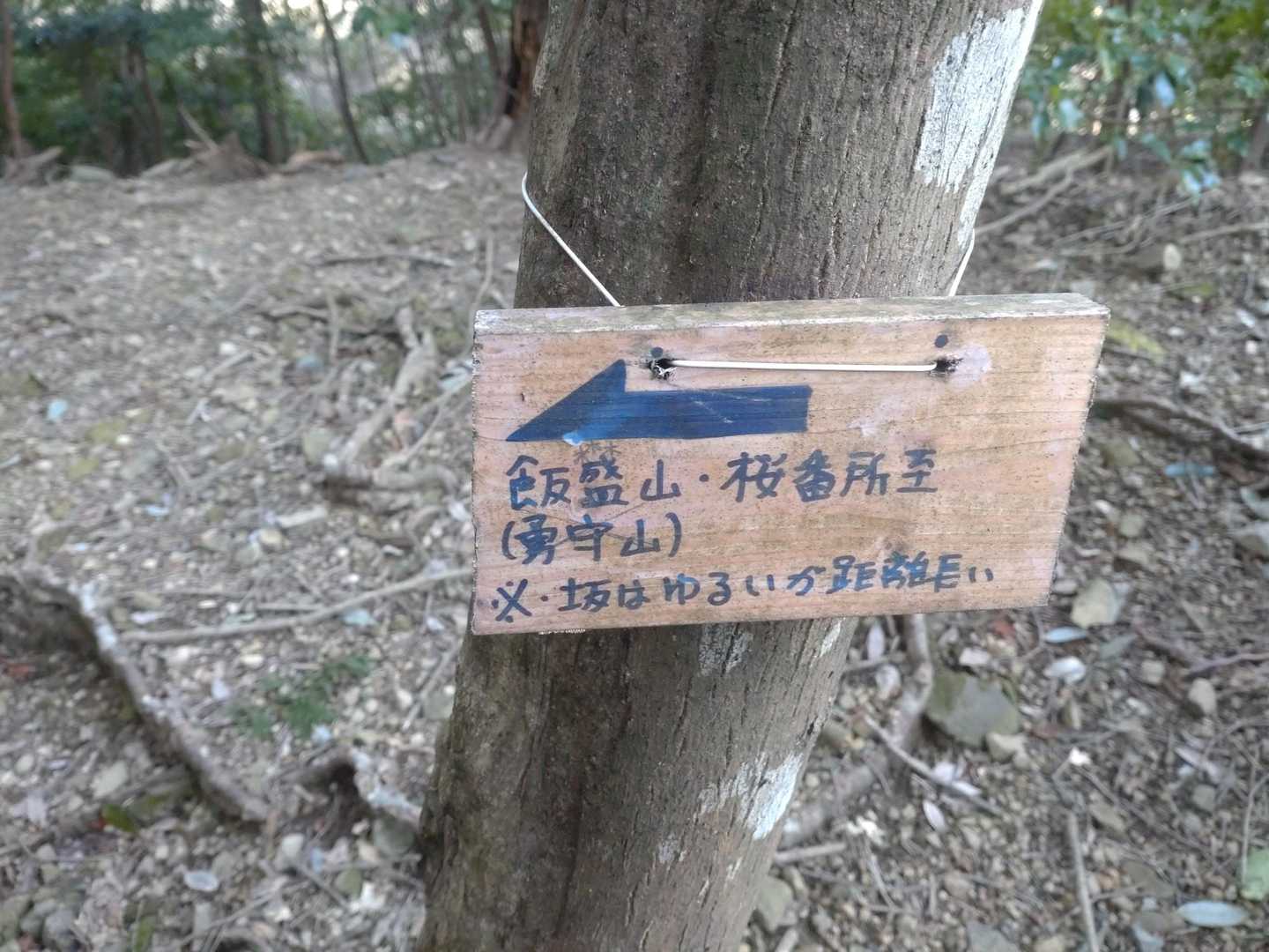 坂はゆるいが距離長い・・・⁉️
坂はなかなかに急でした😅