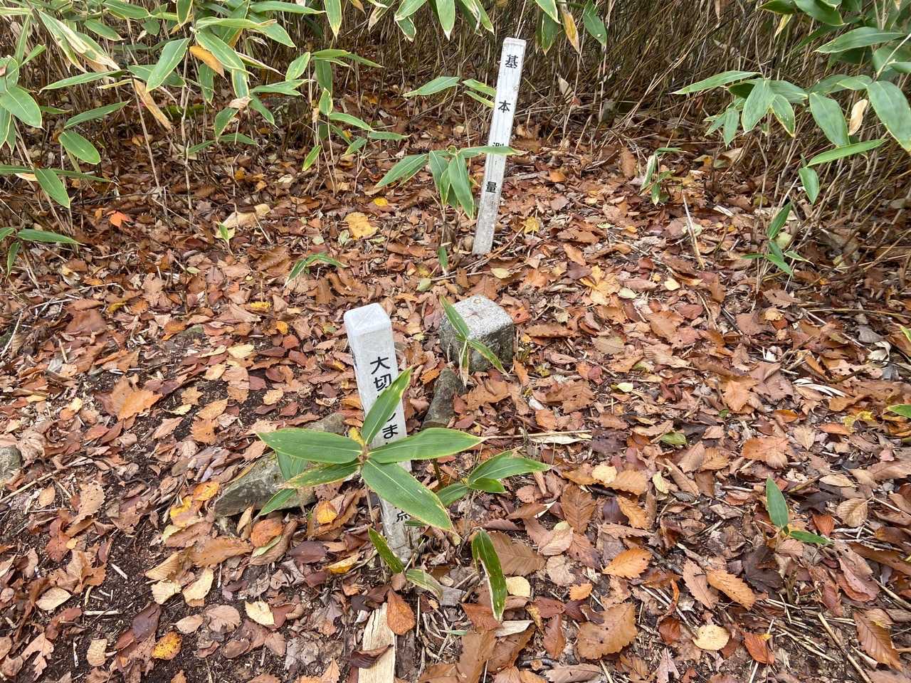 はい！うっかりポイントゼロの山へ😢
下半面山PH