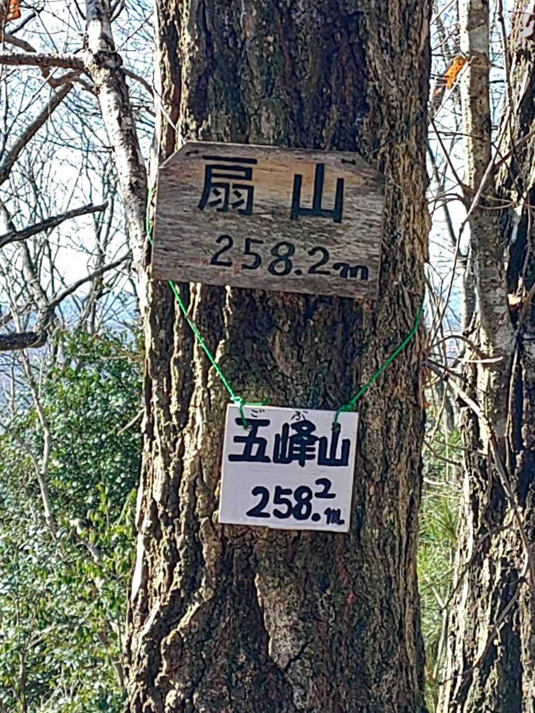 五峰山 往復コースの写真