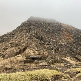 途中男性とすれ違った。曰く、視界が悪くて分岐が分かりづらかったとの事。YAMAPとにらめっこして歩いたそうだ。