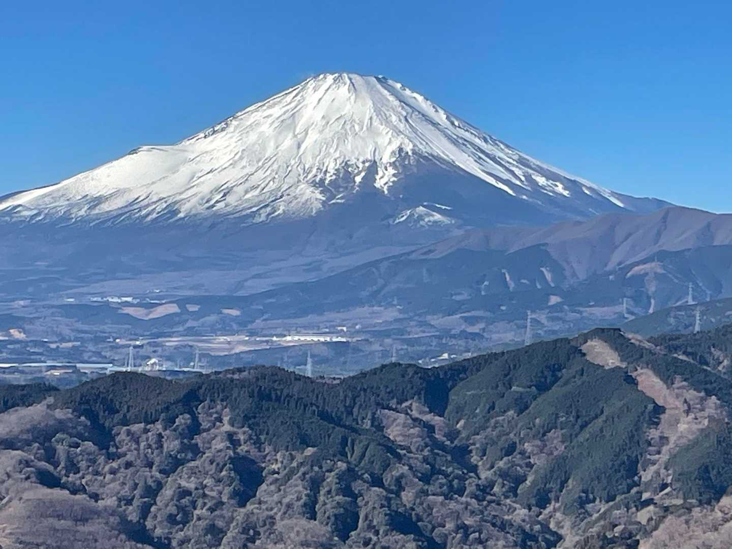 谷峨駅-大野山-山北駅 縦走コースの写真
