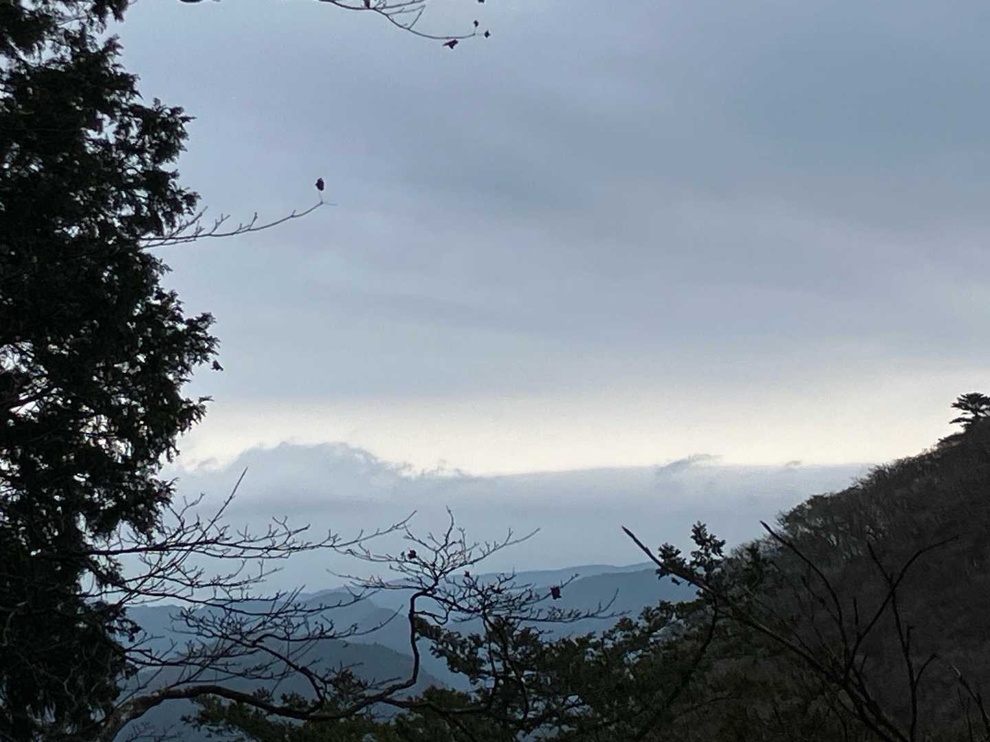 チラッと開けた