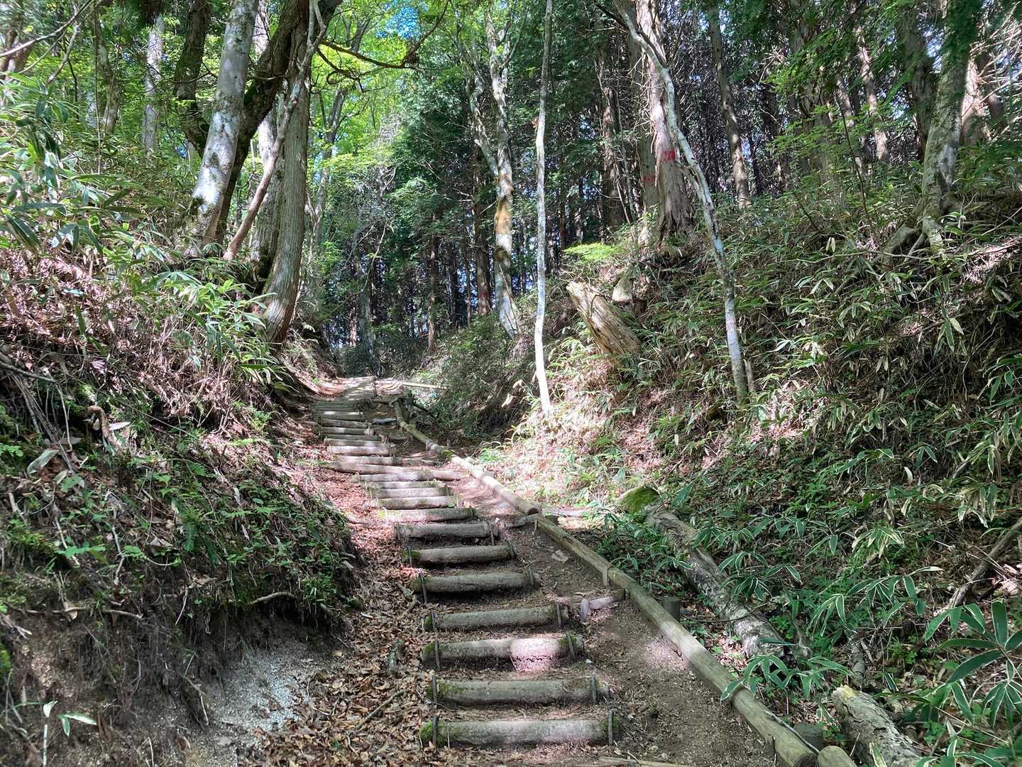まだまだ登ります💦
