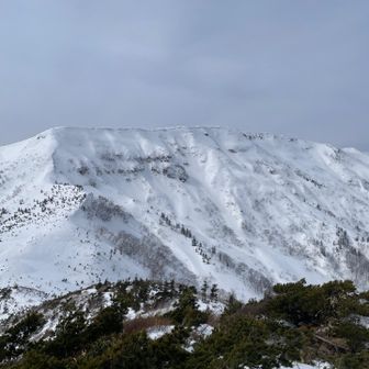 近くで見るとまた違う表情