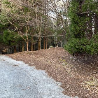 YAMAP地図ではここが鷹巣山登山口🅿️とな。
でも前述の通りゲートが閉まってて、🚙入れないけど