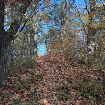 まだ星のブランコ営業前なので、適当な尾根に乗ってピークハント