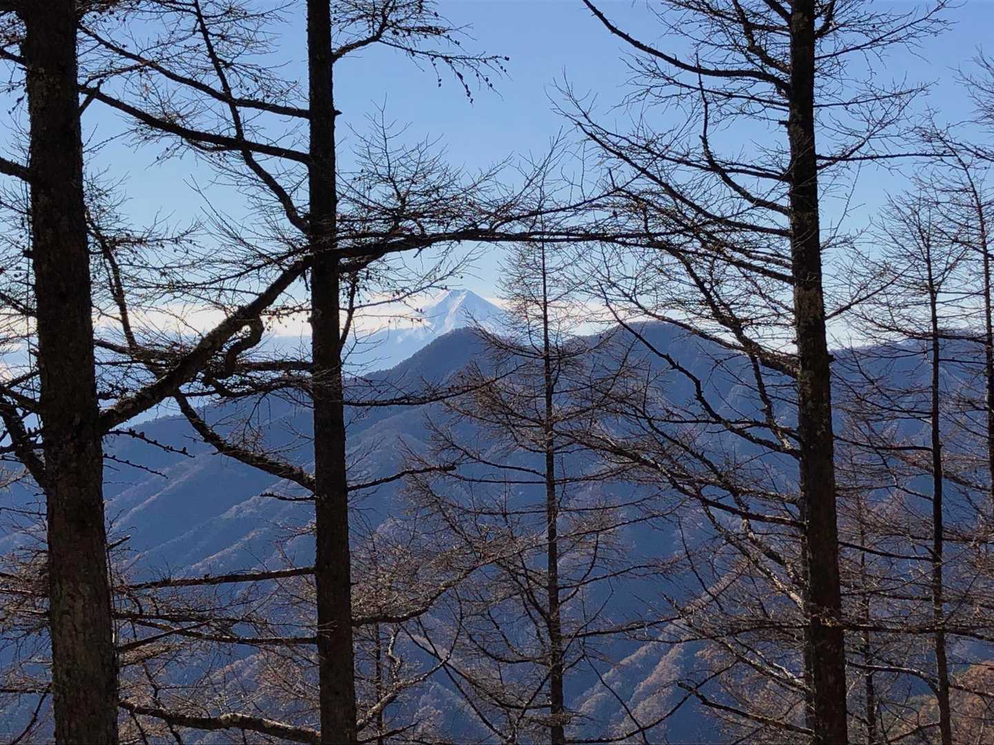 また、富士山をチラ見しながらもトットコ歩く、急がねば🚶‍♀️″☜これでも急いでる
