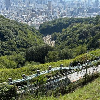 市章山のライト設備