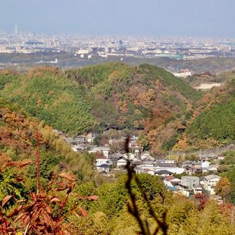 あべのハルカスと🏙️