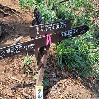 中間道の分岐の表示