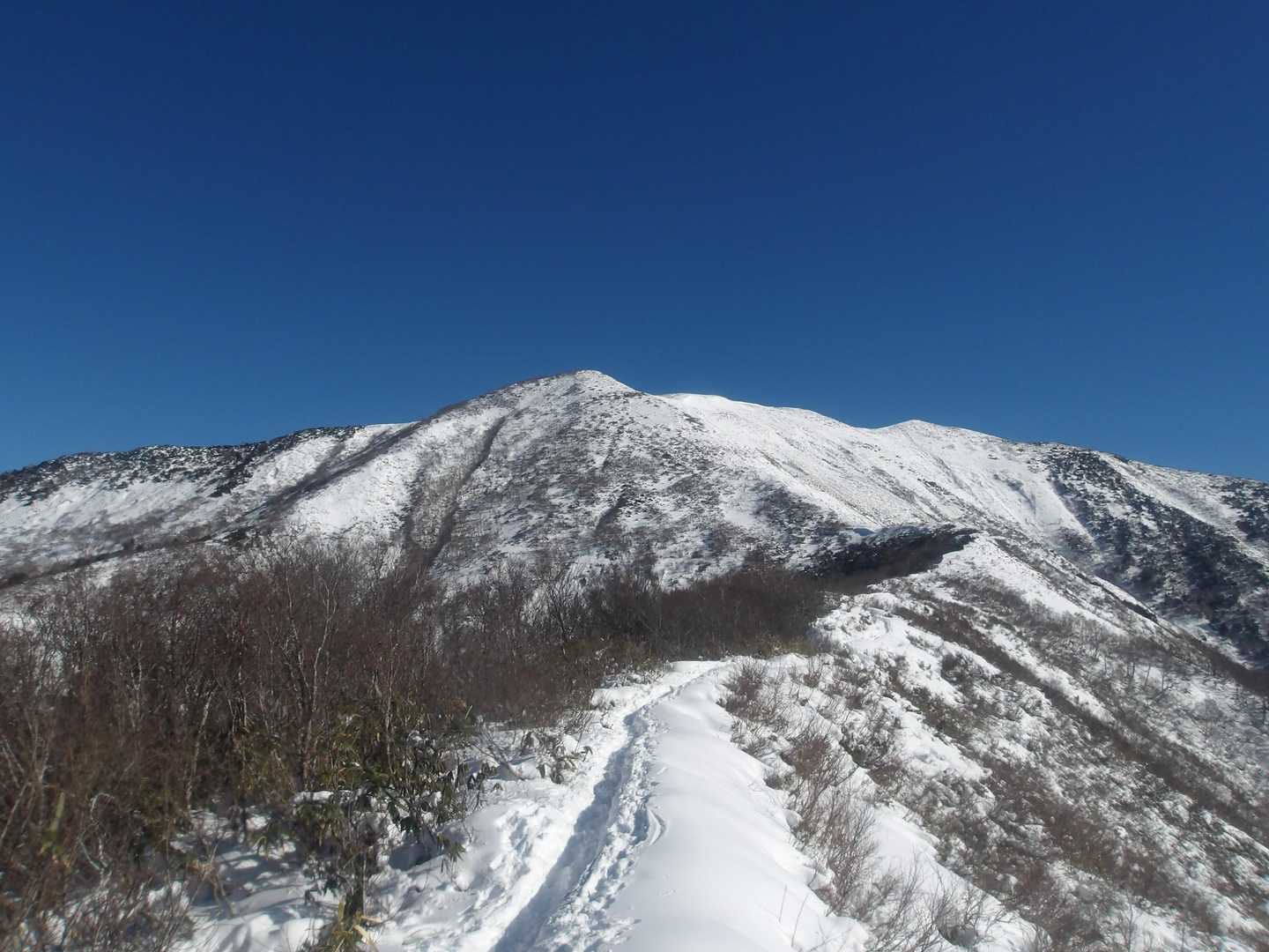 平標登山口-松手山 往復コースの写真