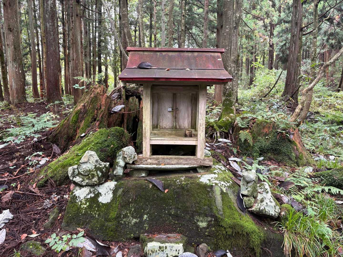 山の神様に下山報告しておきます。感謝、感謝。