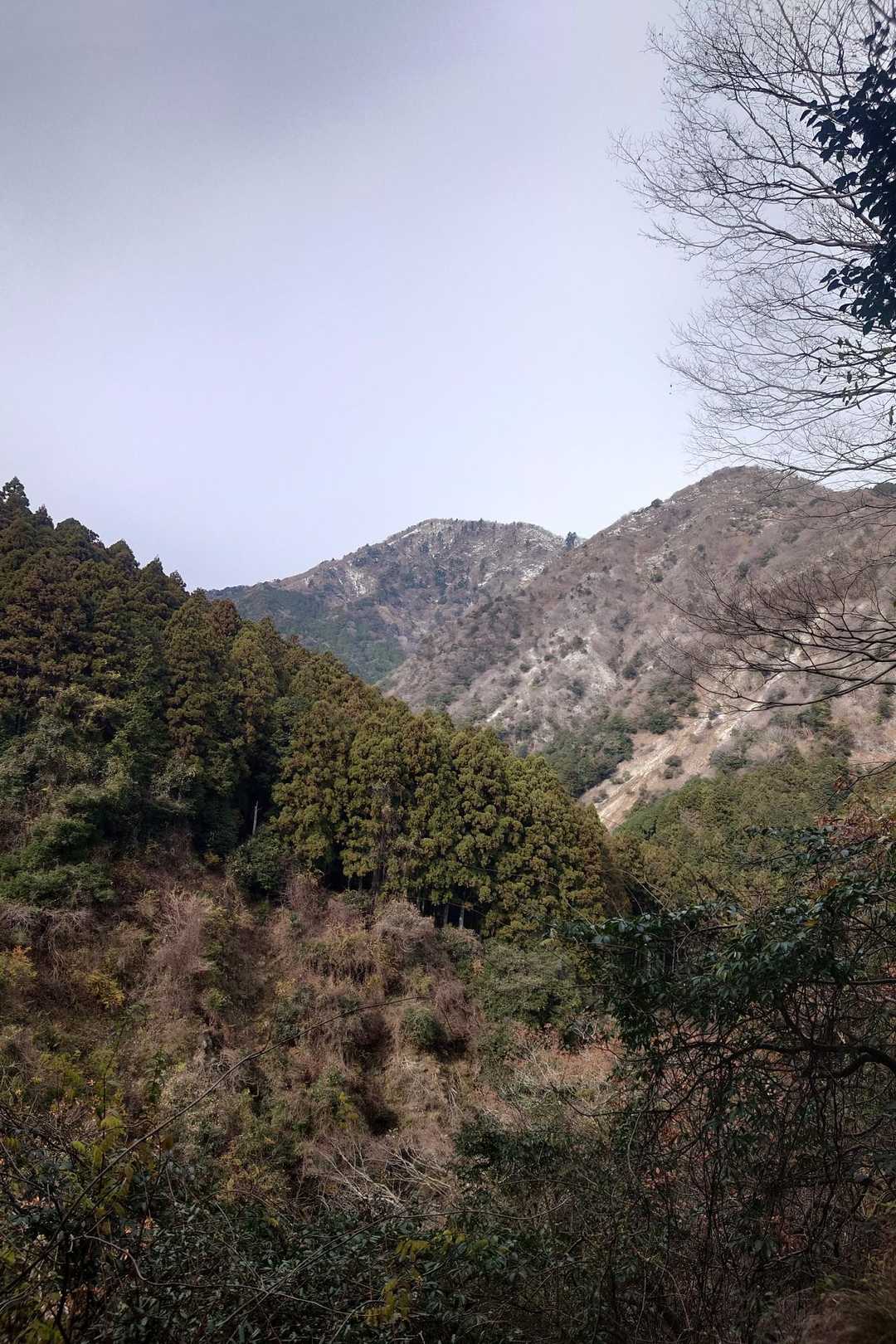 大鉢山西ルート登り口-大鉢山 往復コースの写真