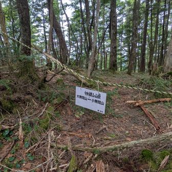 「中無間山」

姿は見えないけど動物の足音がしてました。鹿じゃなさげなんで警戒しながら進みます
