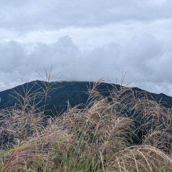 金剛山