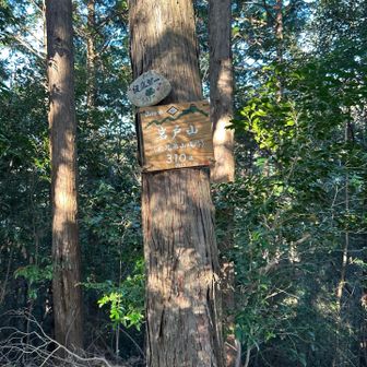 何とか岩戸山に到着。ここまで眺望なしって酷くない？